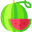 Watermelon icon 64x64