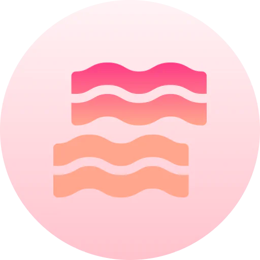 Bacon icon