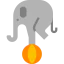 Elephant ícono 64x64