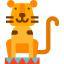 Tiger アイコン 64x64