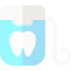Dental floss 상 64x64