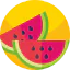 Watermelon icon 64x64