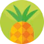 Pineapple icon 64x64