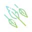 Feathers icon 64x64
