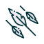 Feathers icon 64x64