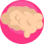Brain icon 64x64
