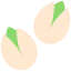 Pistachio icône 64x64
