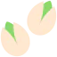Pistachio icon 64x64