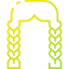 Braid Ikona 64x64