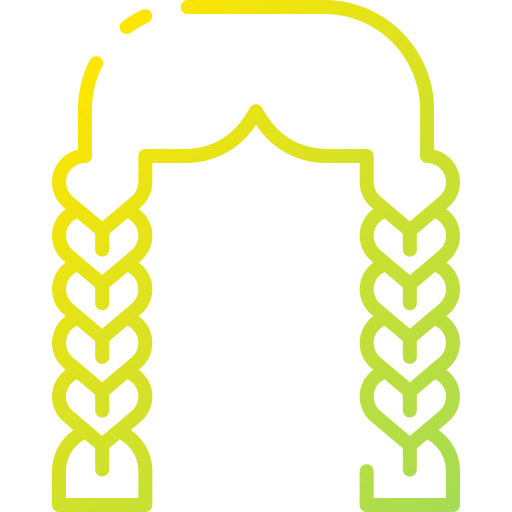 Braid 图标