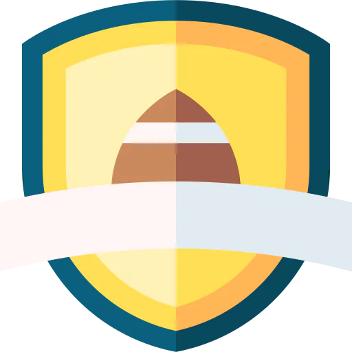 Shield icon