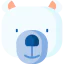Bear icon 64x64