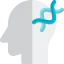 Head 图标 64x64