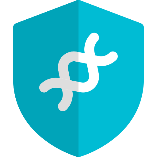 Secure icon