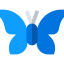 Butterfly icon 64x64