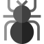 Beetle icon 64x64