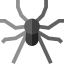 Spider icon 64x64