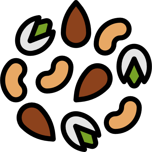Nuts icon