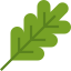 Branch 图标 64x64