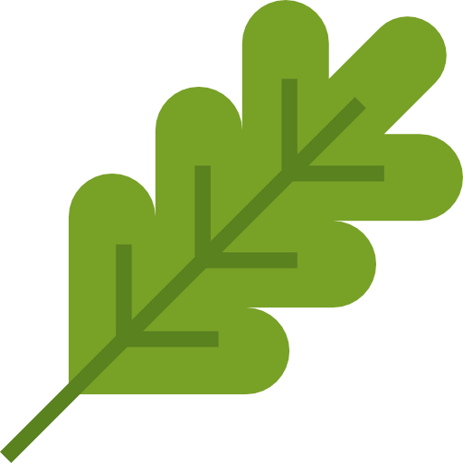 Branch icon