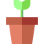 Plant icon 64x64