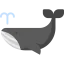 Whale 图标 64x64