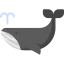 Whale icon 64x64