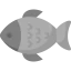 Fish 图标 64x64