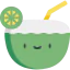 Coconut アイコン 64x64
