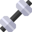 Dumbbell biểu tượng 64x64