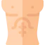Abs icon 64x64