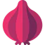 Onion icon 64x64