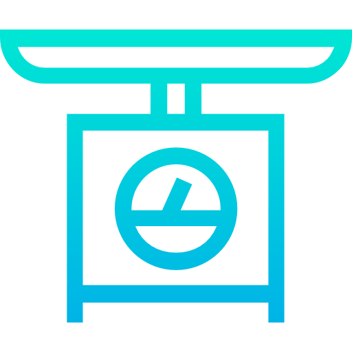 Scale icon