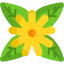 Flower icon 64x64