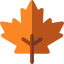 Maple leaf アイコン 64x64