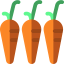 Carrot アイコン 64x64