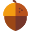 Acorn アイコン 64x64