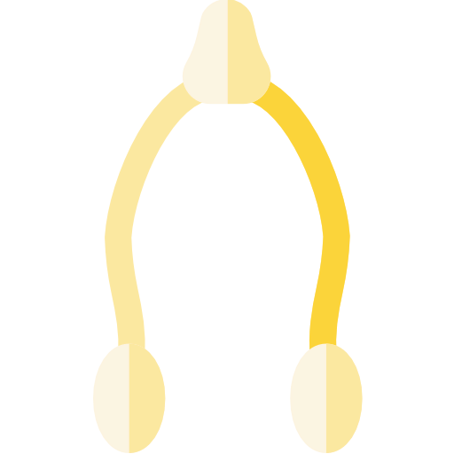 Wishbone 图标