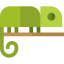 Chameleon icon 64x64