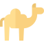 Camel icon 64x64
