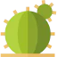 Cactus icon 64x64