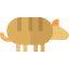Armadillo icon 64x64
