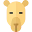 Camel 图标 64x64