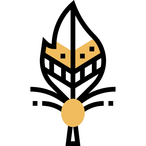 Feather icon