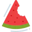 Watermelon icon 64x64