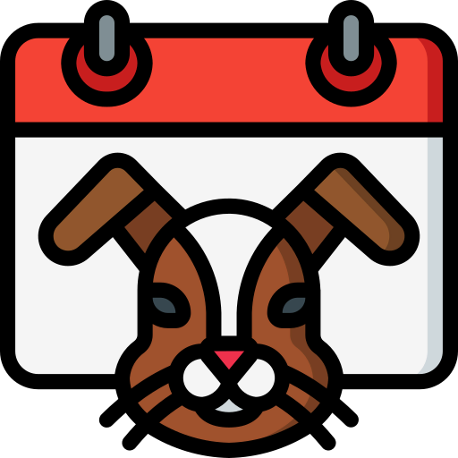 Rabbit icon