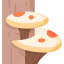 Mushrooms icon 64x64