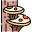 Mushrooms icon 64x64