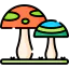 Mushrooms icon 64x64