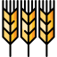 Wheat icon 64x64